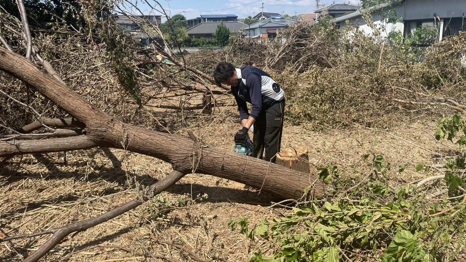 便利屋LSTの庭作業